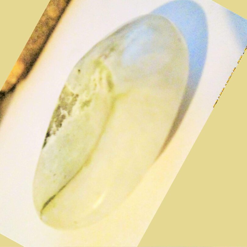 Moonstone WorryThumb Stone | Natural Moonstone Crystal | Healing Crystals Gift | Meditation Gift | White Moonstone | Crystals Thumbstone | Stress reliever - Image 2