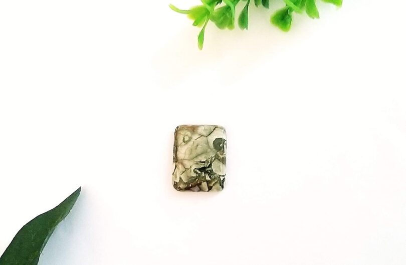 Ocean Jasper Crystal Cabochon | 25mm Ocean Jasper Pocket Palmstone | Natural Crystal Energy Cabochon | Healing Worry Stone | Meditation | Gift Energy Palmstone