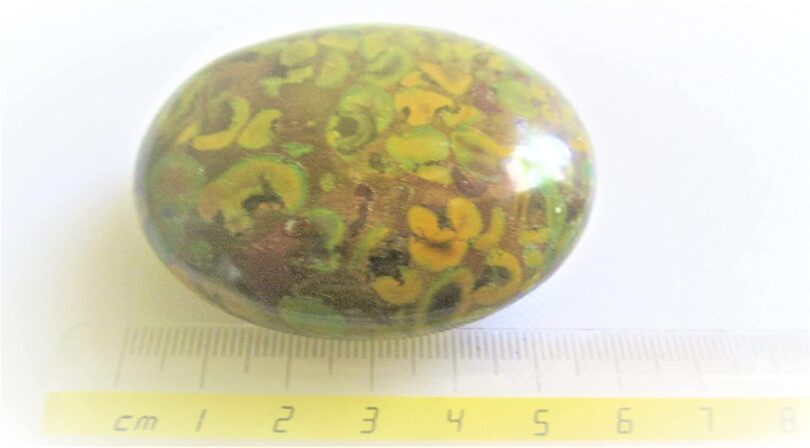 Rainforest Jasper Palmstone | Natural Rainforest Jasper Massager | 60mm Rainforest Jasper Palmstone |Gift Crystal Palmstone - Image 6