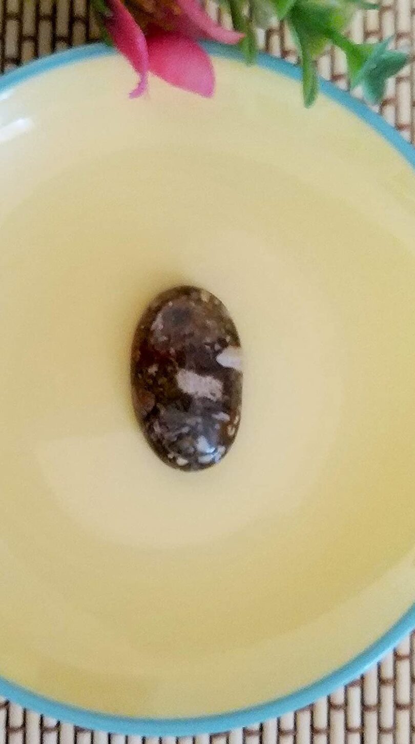 Ocean Jasper Crystal Cabochon | 25mm Ocean Jasper Pocket Palmstone | Natural Crystal Energy Cabochon | Healing Worry Stone | Meditation | Gift Energy Palmstone - Image 2