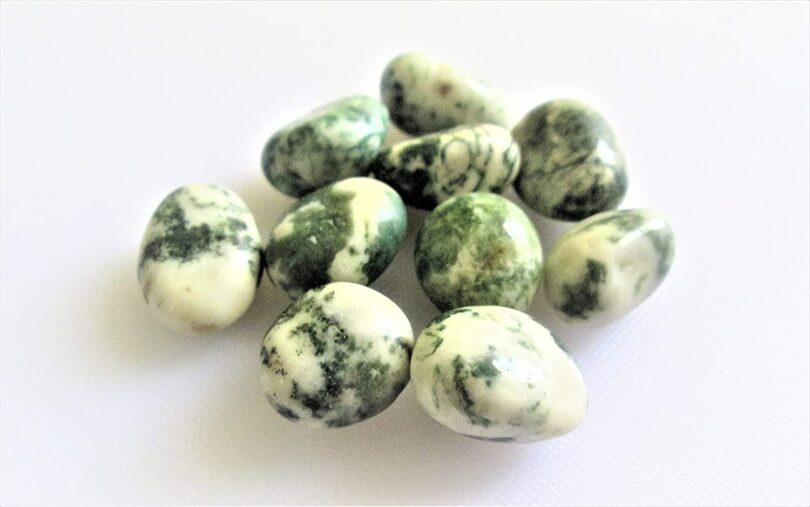 Tree Agate Pack of 10 AAA Quality Tumbled Stones | 25 TO 30mm Tumbled Stones | Healing Stones | Tree Agate Tumbles & Info Card in Gift Pack - Image 3