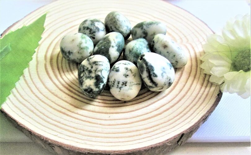 Tree Agate Pack of 10 AAA Quality Tumbled Stones | 25 TO 30mm Tumbled Stones | Healing Stones | Tree Agate Tumbles & Info Card in Gift Pack - Image 5