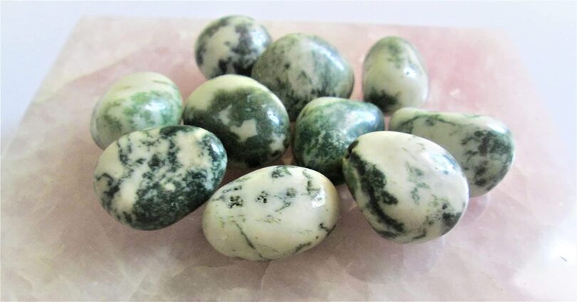 Tree Agate Pack of 10 AAA Quality Tumbled Stones | 25 TO 30mm Tumbled Stones | Healing Stones | Tree Agate Tumbles & Info Card in Gift Pack - Image 4