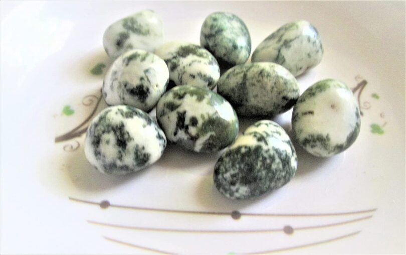 Tree Agate Pack of 10 AAA Quality Tumbled Stones | 25 TO 30mm Tumbled Stones | Healing Stones | Tree Agate Tumbles & Info Card in Gift Pack - Image 2