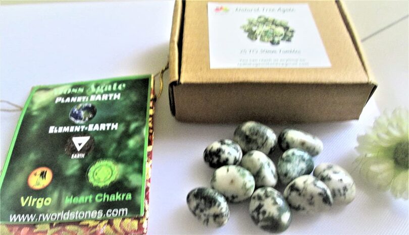 Tree Agate Pack of 10 AAA Quality Tumbled Stones | 25 TO 30mm Tumbled Stones | Healing Stones | Tree Agate Tumbles & Info Card in Gift Pack