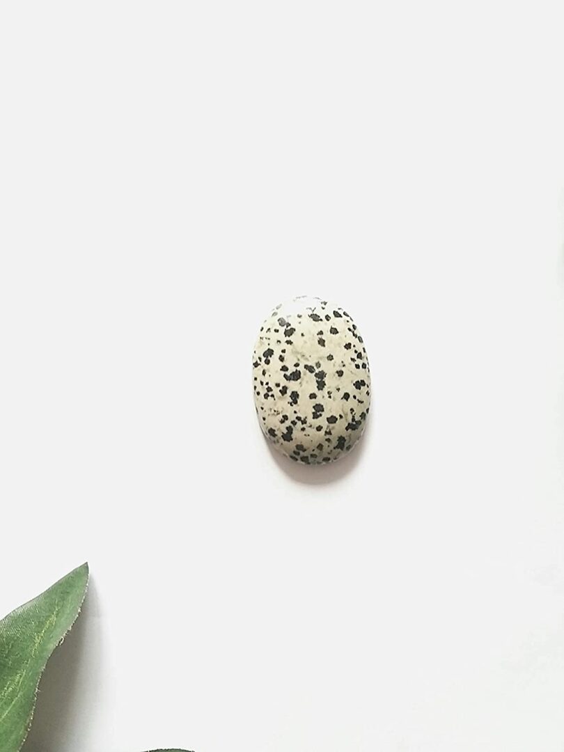 Dalmation Crystal Cabochon | 40mm Crystal Cabochon | Natural Dalmation Crystal Energy | Negative Energy Potection | Gift Dalmation Crystal Cabochon