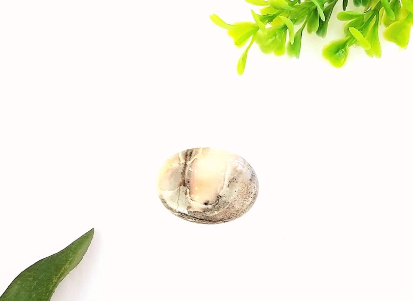 Ocean Jasper Crystal Cabochon | 35mm Ocean Jasper Pocket Palmstone | Natural Crystal Energy Cabochon | Healing Worry Stone | Meditation | Gift Energy Palmstone