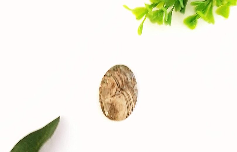 Ocean Jasper Crystal Cabochon | 30mm Ocean Jasper Pocket Palmstone | Natural Crystal Energy Cabochon | Healing Worry Stone | Meditation | Gift Energy Palmstone