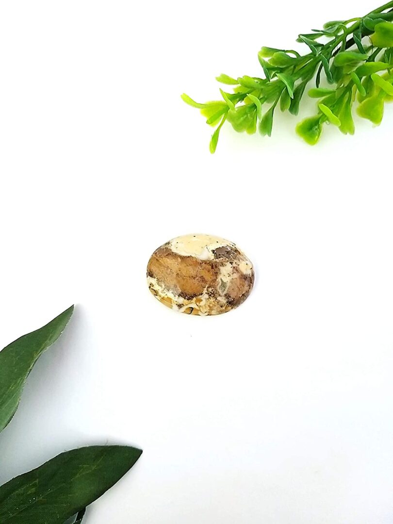 Ocean Jasper Crystal Cabochon | 35mm Ocean Jasper Pocket Palmstone | Natural Crystal Energy Cabochon | Healing Worry Stone | Meditation | Gift Energy Palmstone - Image 2