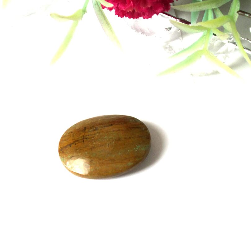 Petrified Wood Worry Thumb Stone | Natural Petrified Wood Crystal | Healing Crystals Energy Gift | Meditation | Soothing Thumbstone | Stress reliever Thumbstone | Stress reliever