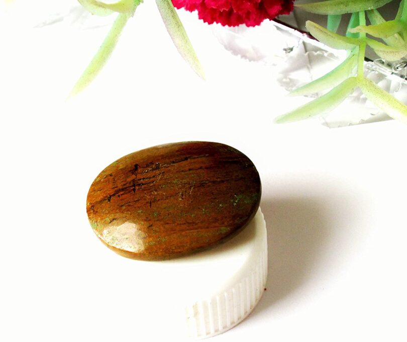 Petrified Wood Worry Thumb Stone | Natural Petrified Wood Crystal | Healing Crystals Energy Gift | Meditation | Soothing Thumbstone | Stress reliever Thumbstone | Stress reliever - Image 4