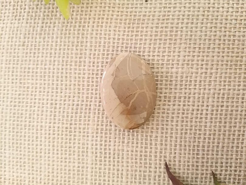 Ocean Jasper Crystal Cabochon | 40mm Ocean Jasper Pocket Palmstone | Natural Crystal Energy Cabochon | Healing Worry Stone | Meditation | Gift Energy Palmstone - Image 3