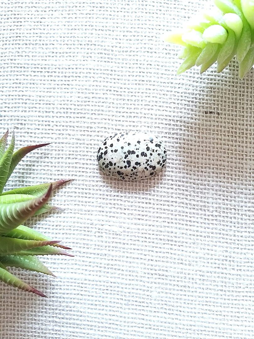 Dalmation Crystal Cabochon | 40mm Crystal Cabochon | Natural Dalmation Crystal Energy | Negative Energy Potection | Gift Dalmation Crystal Cabochon - Image 3