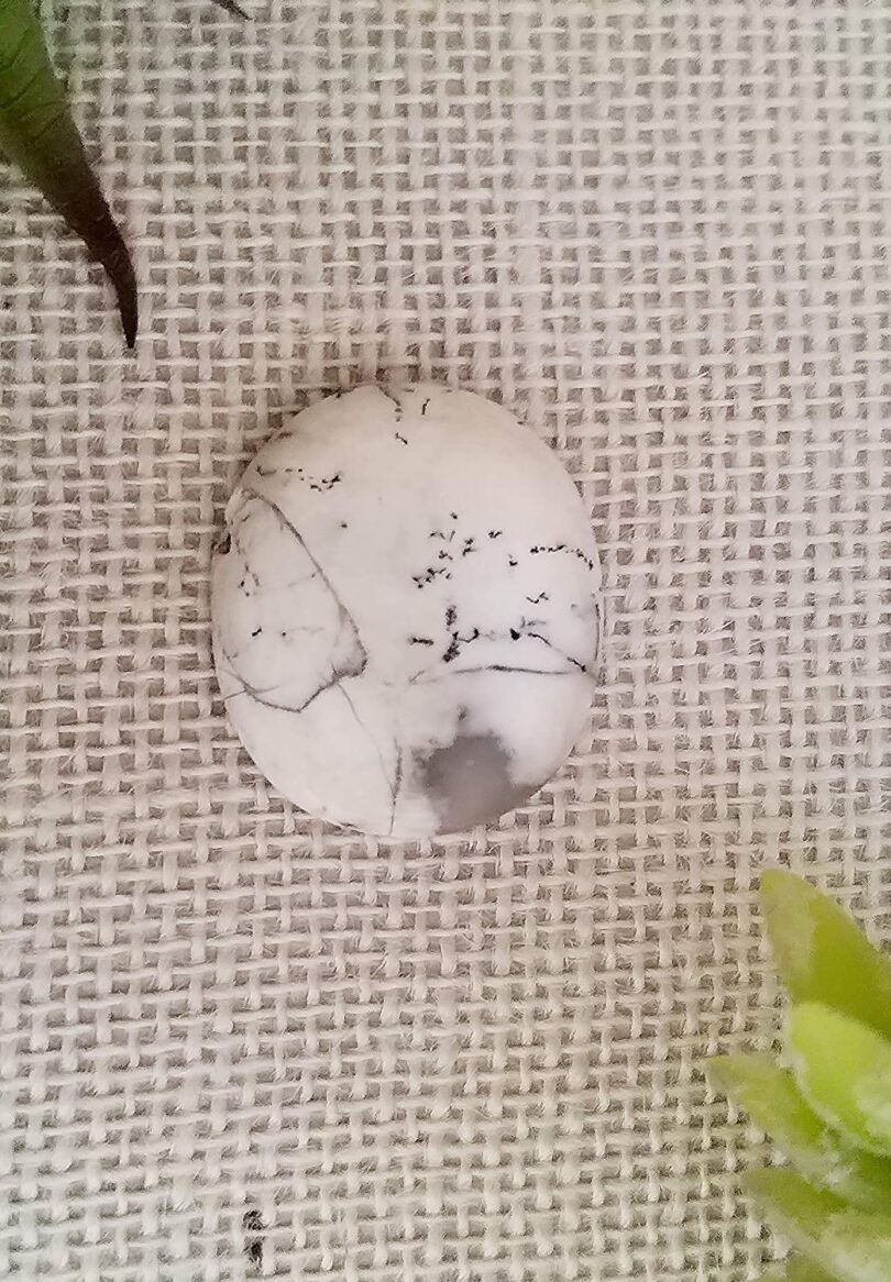 Dendritic Opal Crystal Cabochon | 40mm Dendritic Opal Pocket Palmstone | Natural Crystal Energy Cabochon | Healing Worry Stone | Meditation | Gift Energy Palmstone - Image 3